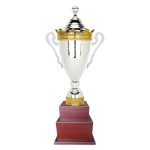 Copa H200
