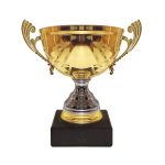 Copa 3036