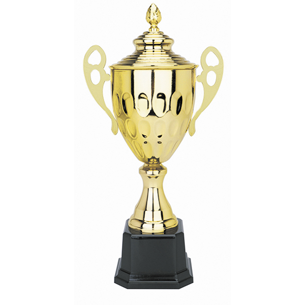 1041.jpg Copa 1041 - Imagen 1