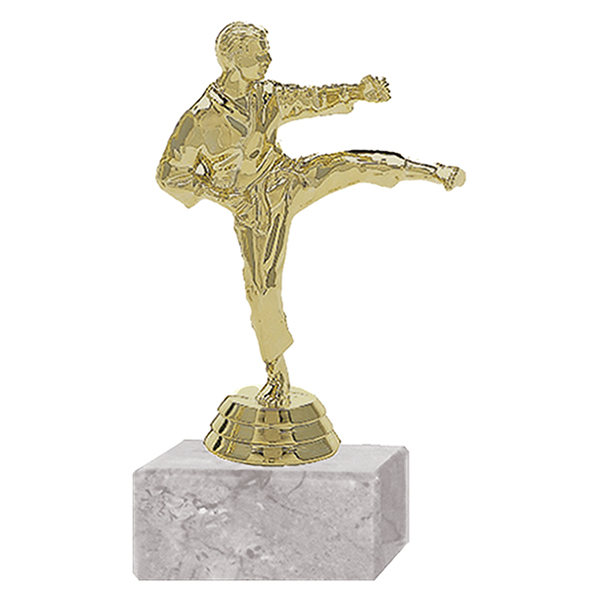 143-623-G.jpg Trofeo Plástico Karate Masculino - Imagen 1
