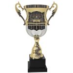 Copa 2006