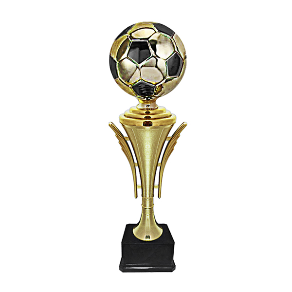 2017.jpg Copa 2017 - Imagen 1