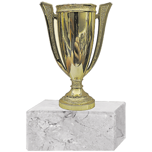 252-PD-1200.jpg Trofeo Plástico Copa Chica - Imagen 1
