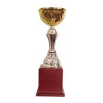 Copa BLAS 30 - Imagen 4