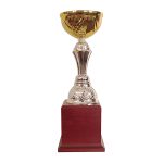 Copa BLAS 30 - Imagen 3