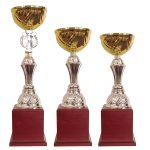Copa BLAS 30