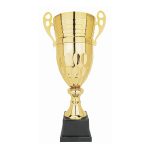 Copa CY 220 - Imagen 2