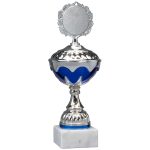Copa E1002