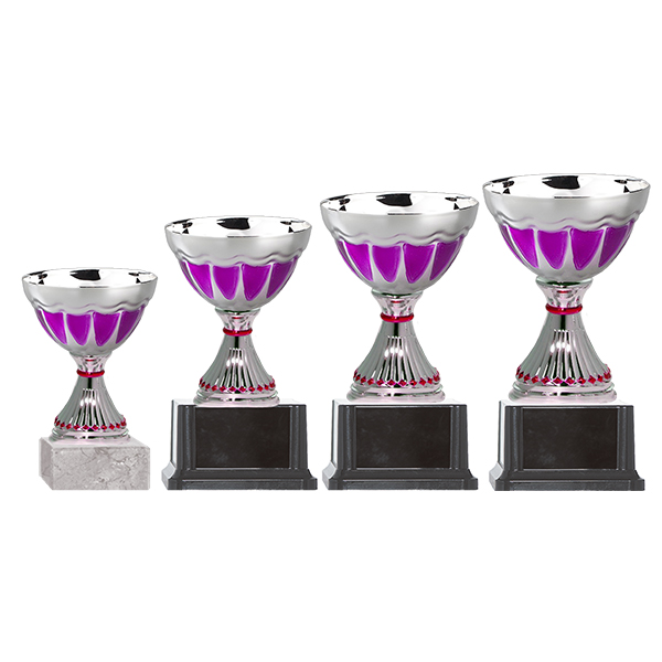 blas-33_a.jpg Copa Blas 33 - Imagen 1