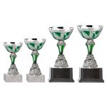 Copa Blas 34
