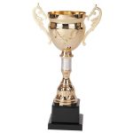 Copa 2001
