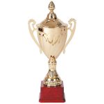 Copa 3007