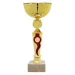 Copa BLAS 36