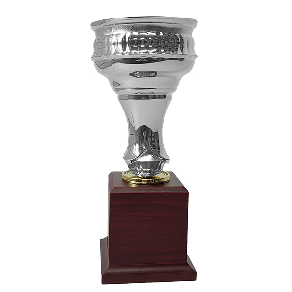 cp22-S.jpg Copa CP22 - Imagen 1