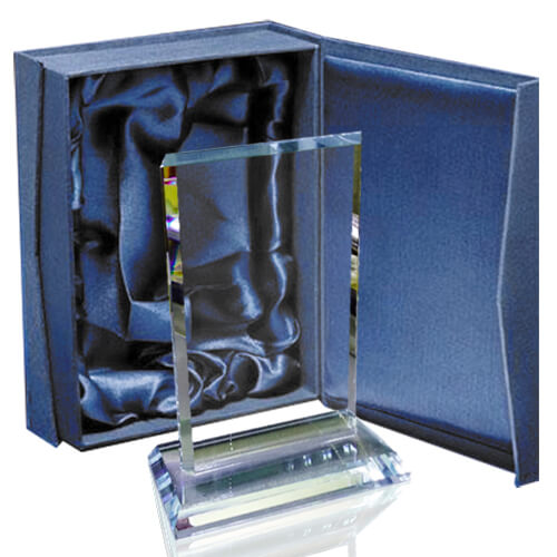 galvano_cristal_premiacion_reconocimiento_rectangular_6308.jpg Galvano Cristal Rectangular 6308 - Imagen 1