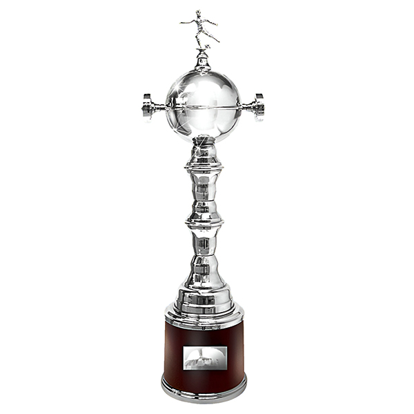 libertadores.jpg Copa Libertadores - Imagen 1
