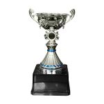 Copa VIC - Imagen 2