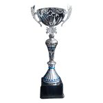 Copa KEV - Imagen 2