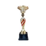 Copa CJ - Imagen 5