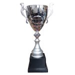 Copa DAN 7 - Imagen 2