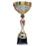 Copa DAN - Imagen 2