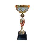 Copa DAN - Imagen 3
