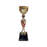 Copa DAN - Imagen 4