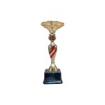 Copa ZK - Imagen 3