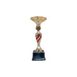 Copa ZK - Imagen 4