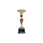 Copa ZK - Imagen 5