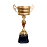 Copa IDE - Imagen 3