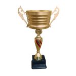 Copa IDE - Imagen 5