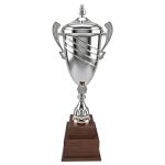 Copa Fierro16 - Imagen 2