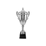 Copa Fierro16 - Imagen 5
